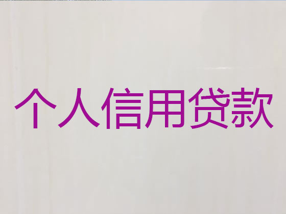 阜阳抵押担保贷款-银行信用贷款